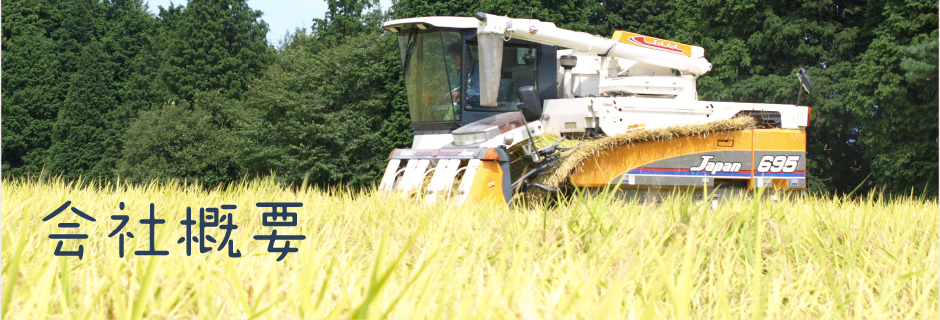 会社概要